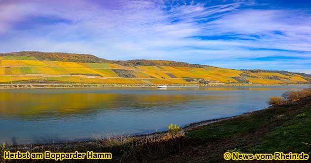 Weinbaugebiet Mittelrhein, Herbst am Bopparder Hamm